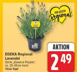 Edeka Edeka regional lavendel Angebot