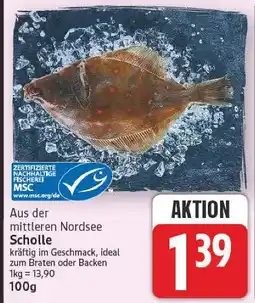 E-Center Scholle Angebot