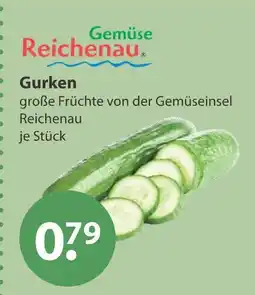 V Markt Gemüse reichenau gurken Angebot