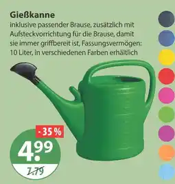 V Markt Gießkanne Angebot