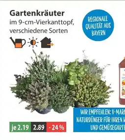 V Markt Gartenkräuter Angebot