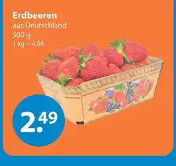 V Markt Erdbeeren Angebot
