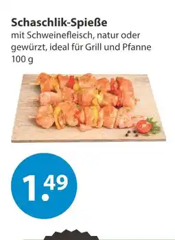 V Markt Schaschlik-spieße Angebot