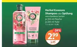 V Markt Herbal essences shampoo Angebot