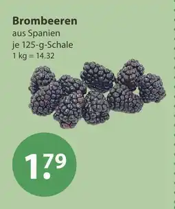 V Markt Brombeeren Angebot