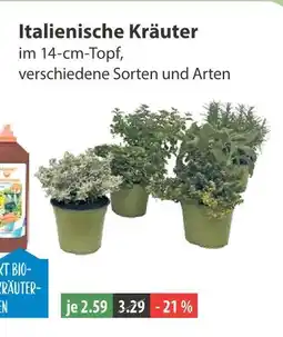 V Markt Italienische kräuter Angebot