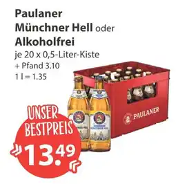 V Markt Paulaner münchner hell Angebot