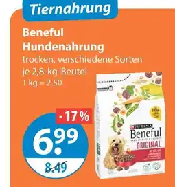 V Markt Purina beneful hundenahrung Angebot