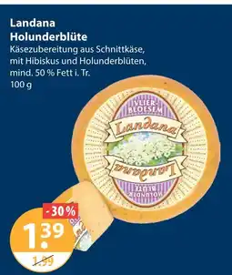 V Markt Landana holunderblüte Angebot