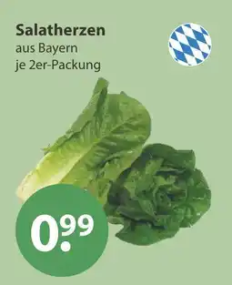 V Markt Salatherzen Angebot