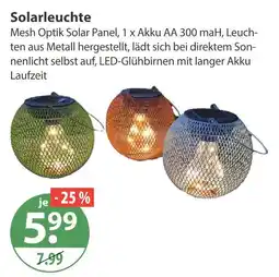 V Markt Solarleuchte Angebot