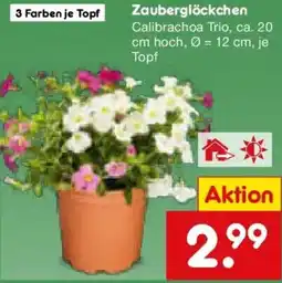 Netto Marken-Discount Zauberglöckchen Angebot
