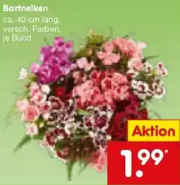 Netto Marken-Discount Bartnelken Angebot