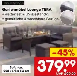 Netto Marken-Discount Gartenmöbel Lounge TERA Angebot