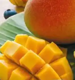 NETTO Mango Angebot