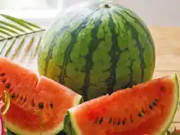 NETTO Wassermelone Angebot