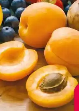 NETTO Aprikosen Angebot