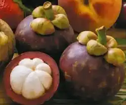 NETTO Mangosteen Angebot