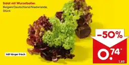 Netto Marken-Discount Salat mit Wurzelballen Angebot