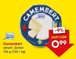 Netto Marken-Discount Camembert Angebot