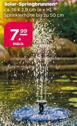 NETTO Solar-Springbrunnen Angebot