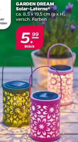 NETTO GARDEN DREAM Solar-Laterne Angebot