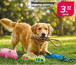 NETTO Hundespielzeug Angebot