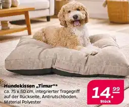 Netto Hundekissen Timur Angebot