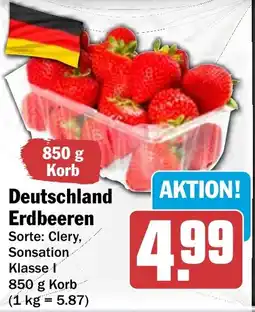 HIT Deutschland Erdbeeren Angebot
