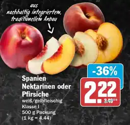HIT Spanien Nektarinen oder Pfirsiche Angebot
