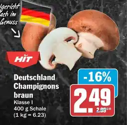 HIT Deutschland Champignons braun Angebot