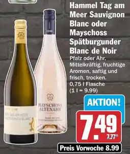 HIT Hammel Tag am Meer Sauvignon Blanc oder Mayschoss Spätburgunder Blanc de Noir Angebot