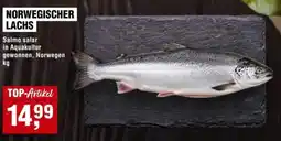 Handelshof Norwegischer lachs Angebot