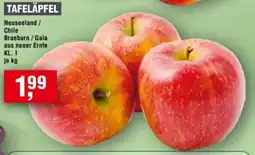 Handelshof Tafeläpfel Angebot