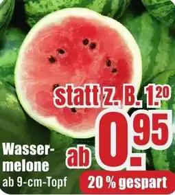 B1 Discount Baumarkt Wassermelone Angebot