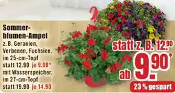 B1 Discount Baumarkt Sommerblumen-Ampel Angebot