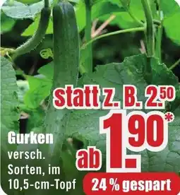 B1 Discount Baumarkt Gurken Angebot