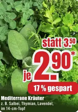 B1 Discount Baumarkt Mediterrane Kräuter Angebot