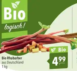 CITTI Markt Bio Rhabarber Angebot