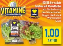 diska EDEKA Herzstücke Salatrio mit Wurzelballen Angebot