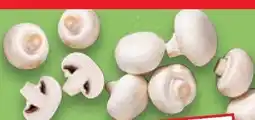 Kaufland Kulturchampignons Angebot