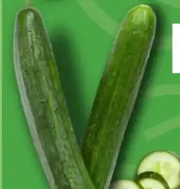 Kaufland K-Bio Bio Gurke Angebot