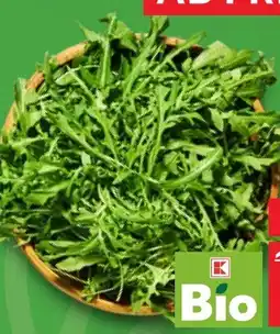 Kaufland K-Bio Bio Rucola Angebot