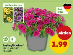 PENNY Zauberglöckchen Angebot