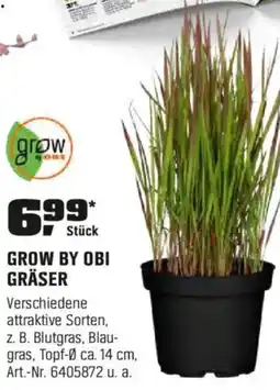 OBI GROW BY OBI GRÄSER Angebot