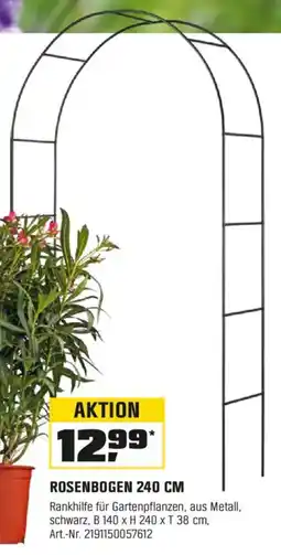 OBI ROSENBOGEN 240 CM Angebot