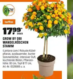 OBI GROW BY OBI WANDELRÖSCHEN STAMM Angebot