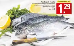 WEZ Frankreich Forelle Angebot