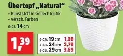 Thomas Philipps Übertopf „Natural“ Angebot