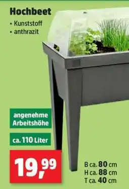 Thomas Philipps Hochbeet Angebot